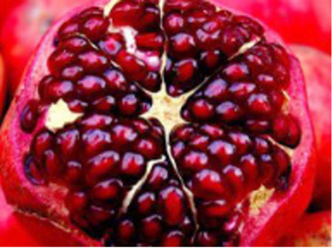 Pomegranate